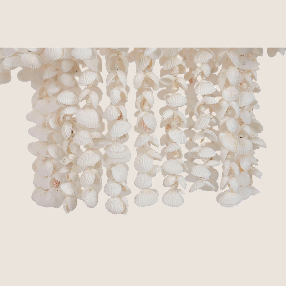 V2H6BAA666D1CEE2E1E753C4F8688DE70BAR7472302P4